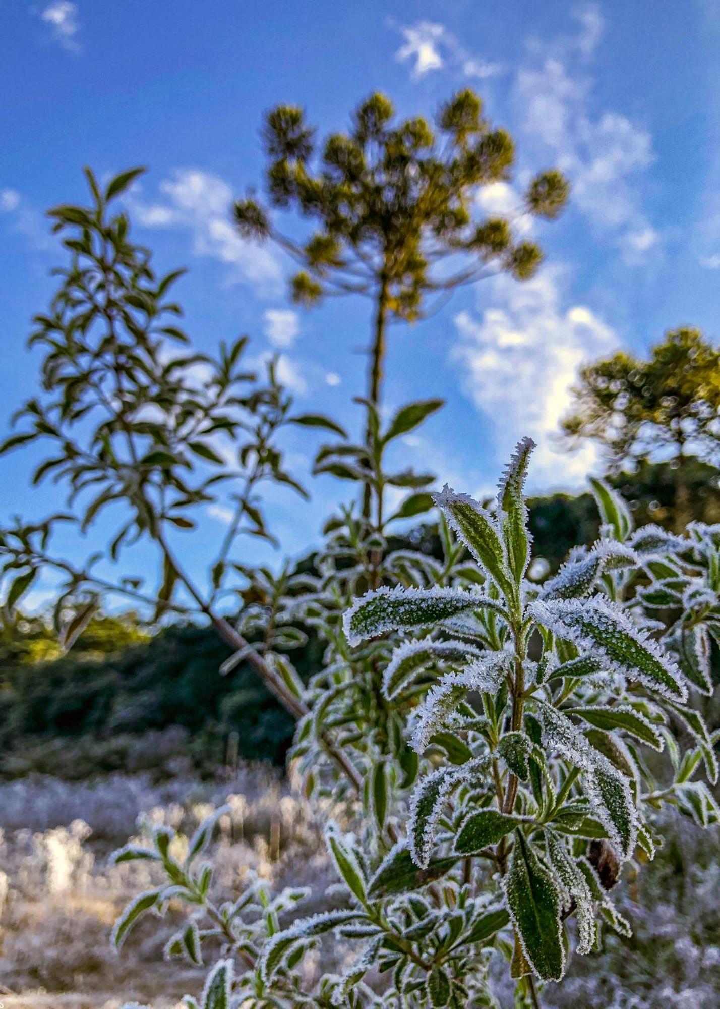 Pousada Vila Lubia - Chales Monte Verde Monte Verde  Dış mekan fotoğraf